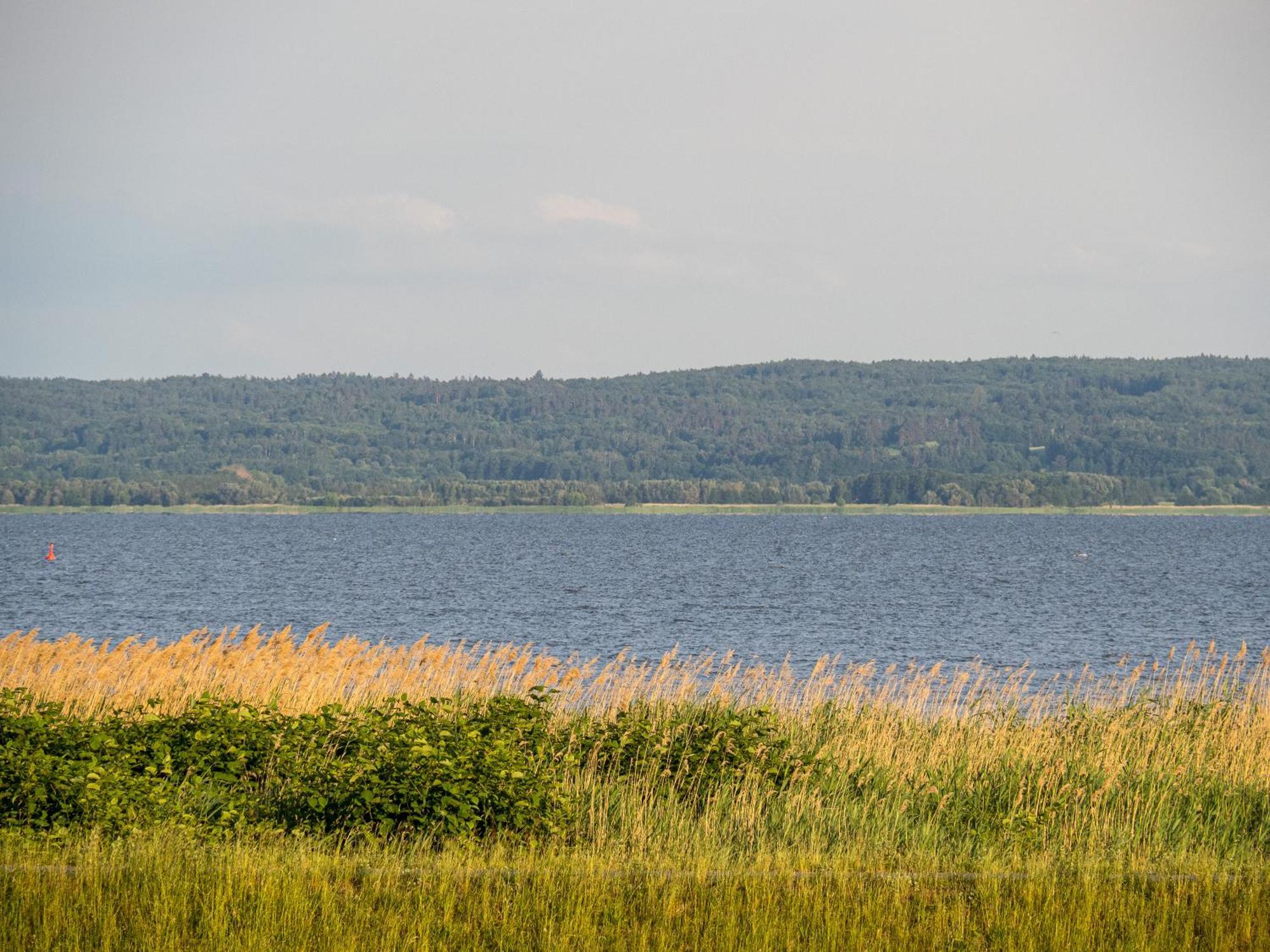 Rejs Nad Zalewem # Z Klimatyzacja * Krynica Morska